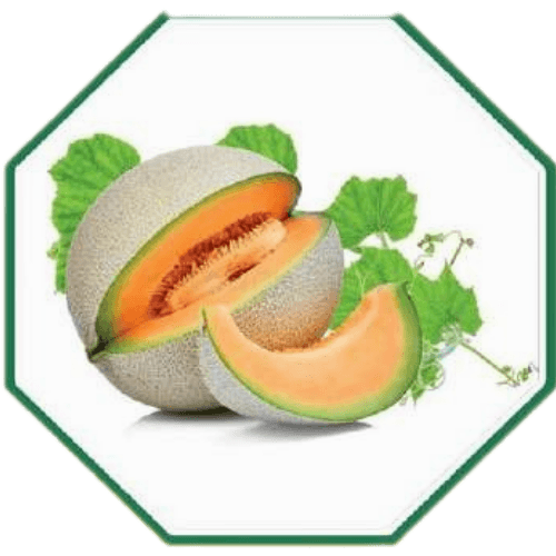 Organic muskmelon seeds for home gardening