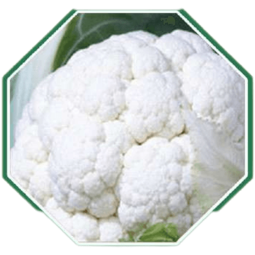 CAULIFLOWER